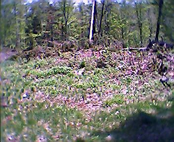 Jun01244