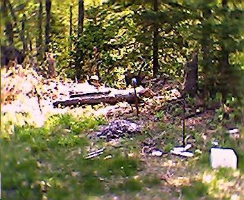 Jun01249