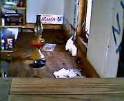 Jun01237
