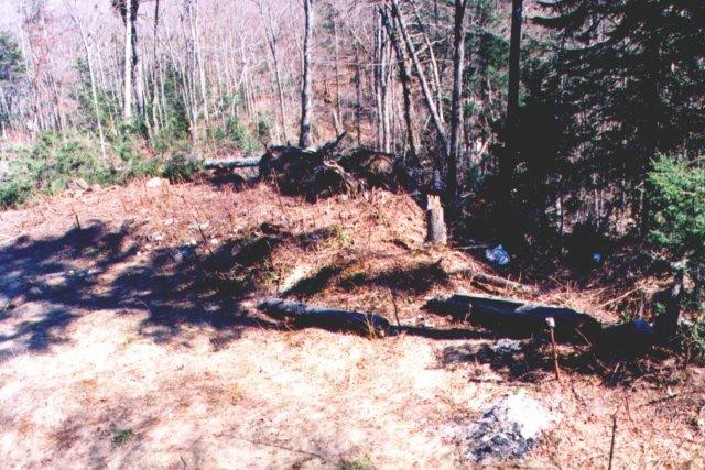 s20